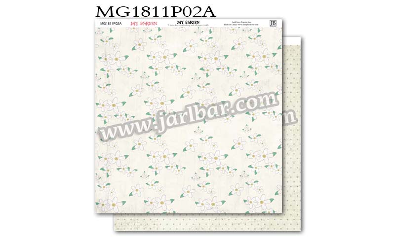 MG1811P02A