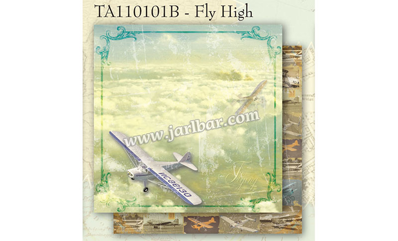 TA110101B-fly high